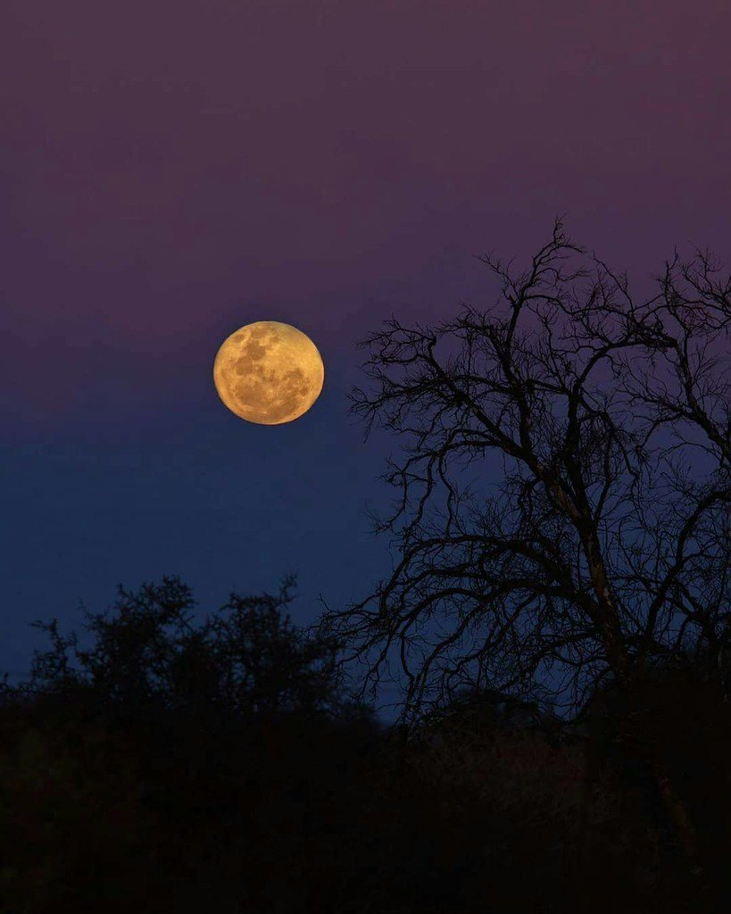GottaLoveSA's tweet photo. Full moon in the Northern Cape
Photo:  @xmaryv .
.
.
.
#gottalovesa #TheCreative #artofvisuals #photographyislife #earthpix #Exploretocreate #primeshots #nakedplanet #Neverstopexploring #visualsoflife #livefolk #Quitethechaos #main_vision #lightslove  #t… https://t.co/mWM8N1HjpF https://t.co/zISRh54R5E