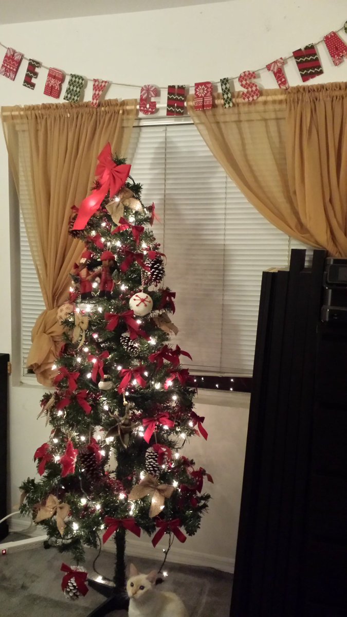 MinimumGnome's tweet image. Operation Holiday Decorating is a success #SoFestive #MuchJoy