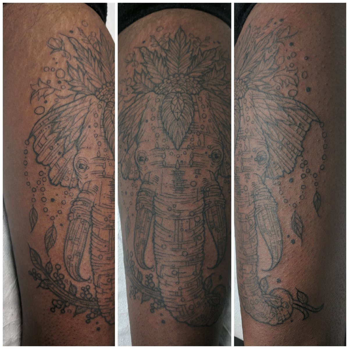 msmoonytattoos's tweet photo. #elephant #elephanttattoo #mandala #mandalatattoo #flowers #flowerstattoo #spiritanimal #spiritanimaltattoo #animals #animaltattoo #nature #naturetattoo #hippie #hippietattoo #spiritual #spiritualtattoo #finelinework #finelinetattoo #detailtattoo #linework #lineworktattoo #tattoo https://t.co/bhqv5c4BW4