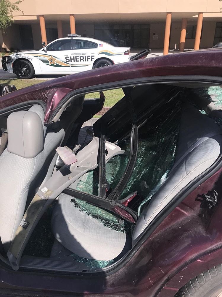 Spoto SGA tweet media