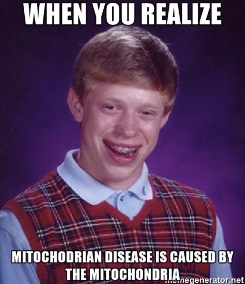 nucthepower's tweet photo. so it turns out, the mitochondria is not the powerhouse of the cell- more like the death trigger #fakenews #organellewars https://t.co/6HOqXSdEOu