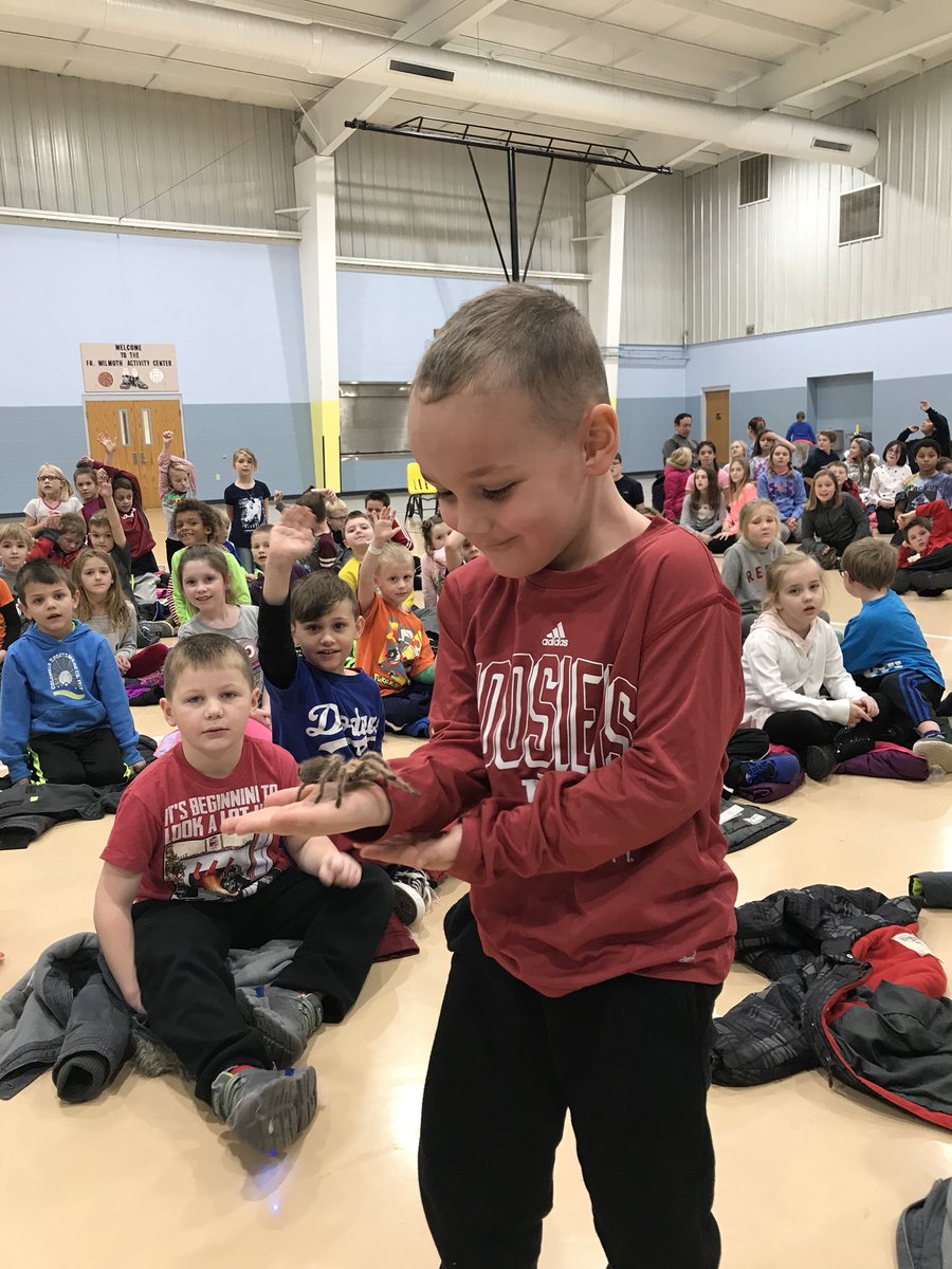 KWRockets's tweet photo. We were able to see so many neat animals today when Hedgehog Hannah came to visit us! I have some brave kiddos! Tarantulas are not for me 🙅🏻‍♀️ https://t.co/trv42yiCCP