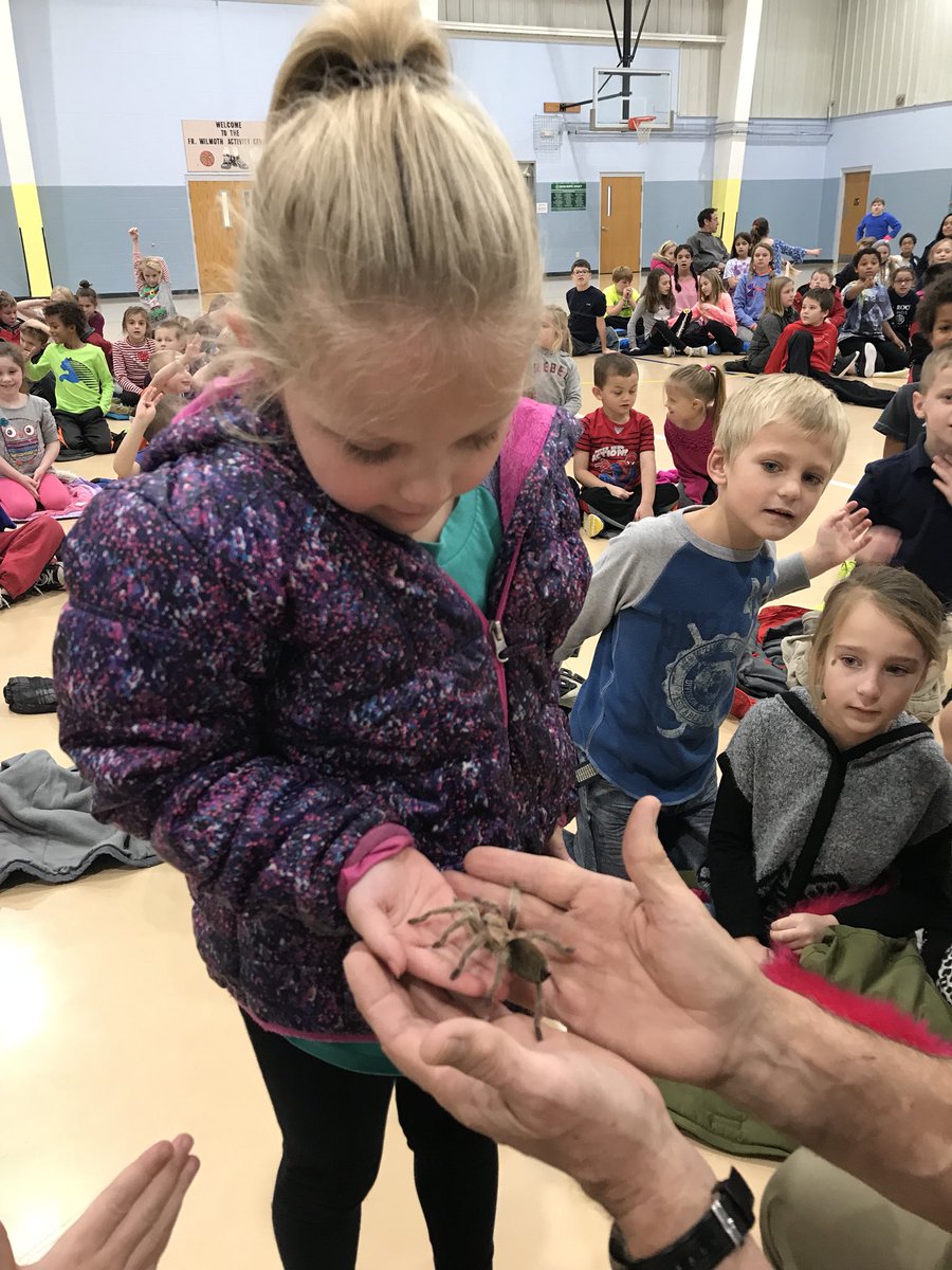 KWRockets's tweet photo. We were able to see so many neat animals today when Hedgehog Hannah came to visit us! I have some brave kiddos! Tarantulas are not for me 🙅🏻‍♀️ https://t.co/trv42yiCCP