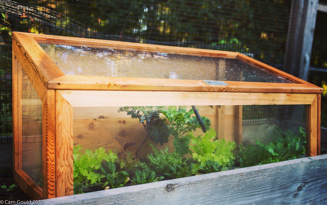 HomefrontFarmer's tweet image. Spinch staying cozy under a blanket of Agribon. Looks like the real cold is coming next week. Time to bump up to a cold frame!

homefrontfarmers.com

#gardening #coldweather #seasonextension #organic #food #grown #backyard #homefrontfarmerscanhelp