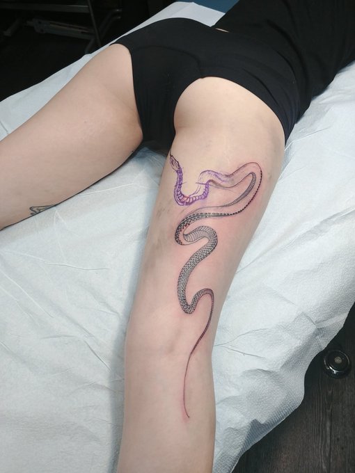 🐍 https://t.co/id48MyNexQ