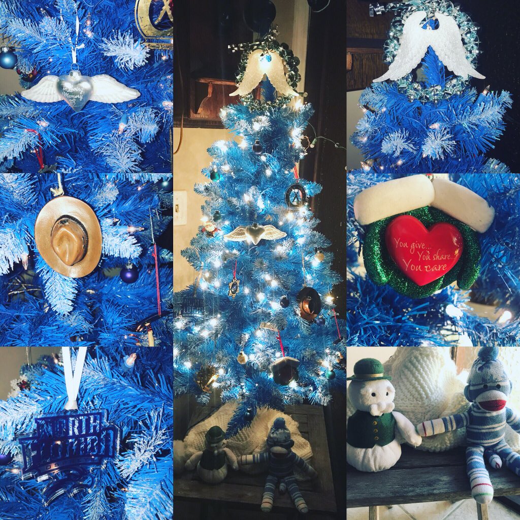 Ann’s Angels Christmas Tree in blue for all our fallen adaptive water skiers. Miss you all.