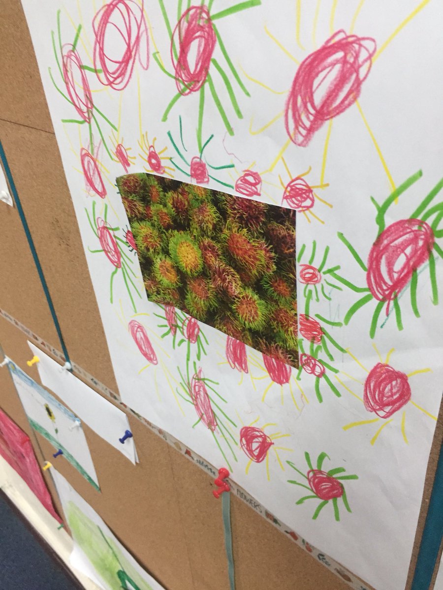 nancysnyder0218's tweet photo. #ishcmcin KG Ss use observation and extrapolation in looking at nature...#viewingandpresenting https://t.co/2kMwtuJYi0
