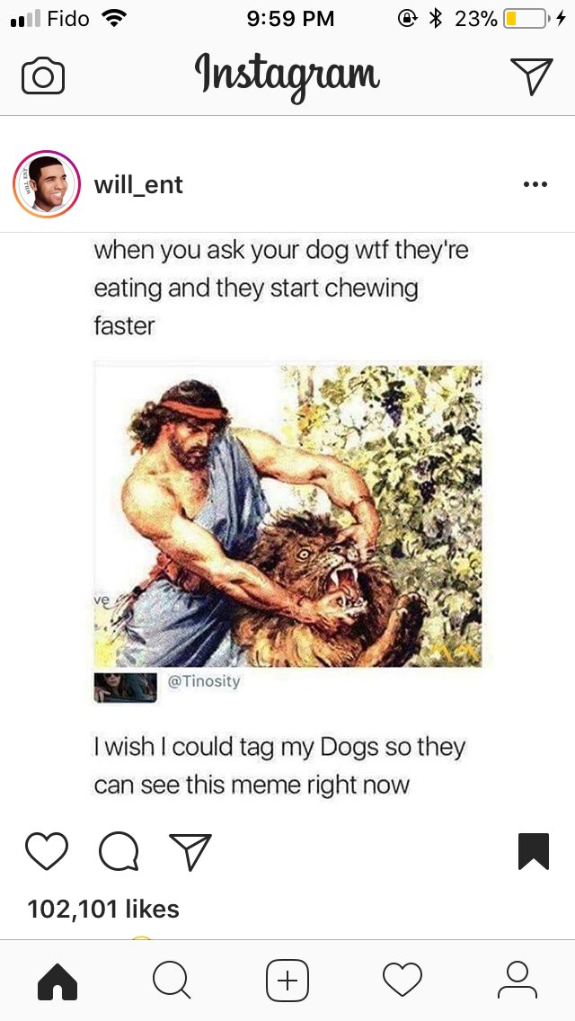 ShulinfortheWin's tweet photo. All the memes are 300% funnier after a long day.  #instagram #memes #repost https://t.co/01rfZ3VuM5