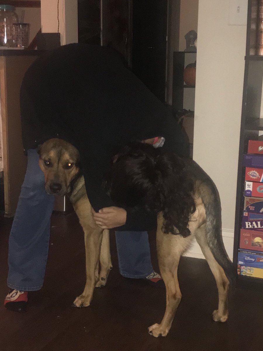 unIawfully's tweet photo. When finals week has got you down #hugApup https://t.co/VuJZeBelmP