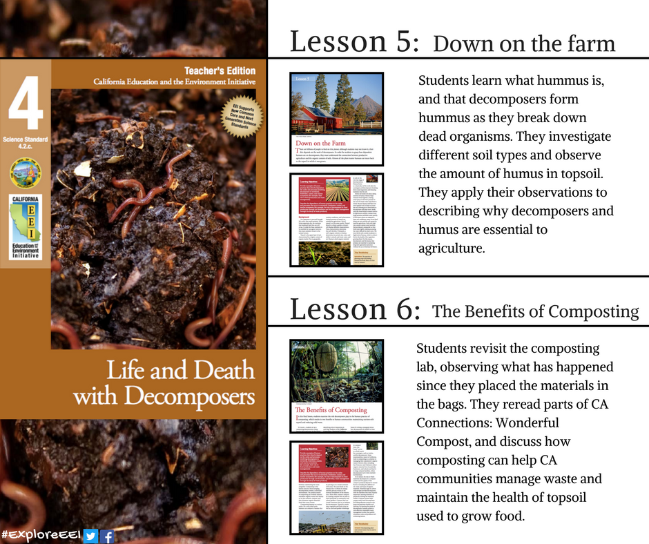 CaEEI's tweet photo. Learn more about decomposers and their role in breaking down matter https://t.co/tbsOs9yOQC #CASoilsWeek #science #compost https://t.co/tY8a24wUub