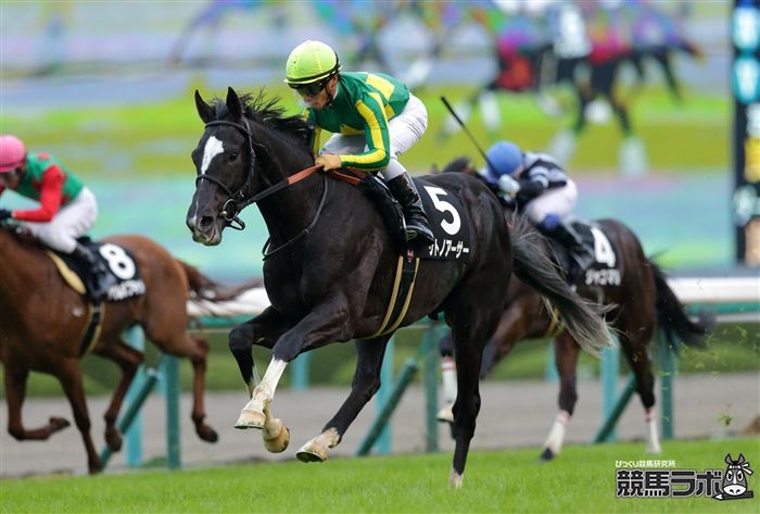 競馬ラボ 強力3歳馬 ズラリ 土曜阪神11r リゲルsは重賞級の好メンバー 3歳クラシック戦線を沸かせたファンディーナは6枠9番 サトノアーサー は6枠8番に入りました マイル路線を歩んだレッドアンシェル キョウヘイ ボンセルヴィ ソも出走します