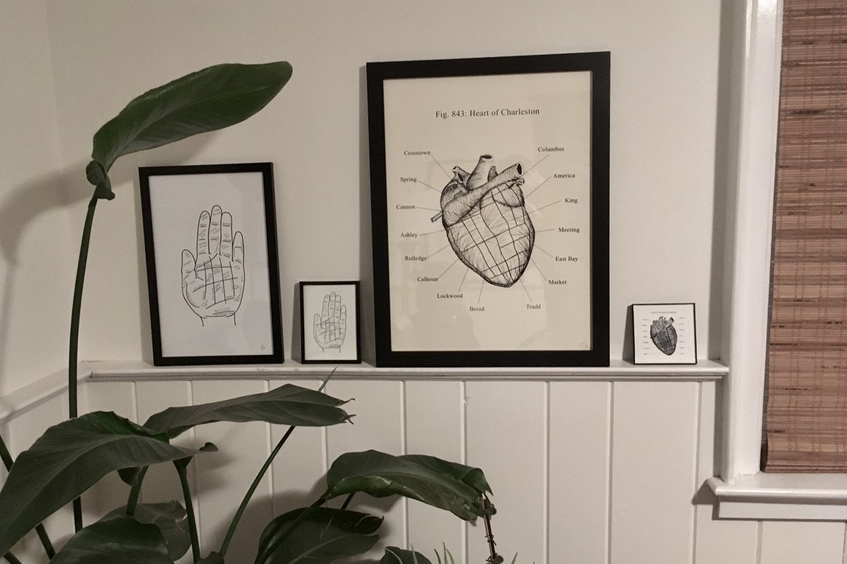 Cartographical Anatomy. #Charleston