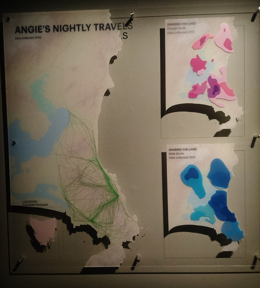 helenmayfield's tweet photo. Tracking the tassie devil, in case you needed just one more map after #modsim2017.  Tasmanian museum and art gallery. https://t.co/9yg98o7fBB
