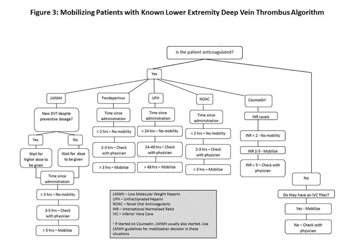 leudosaudpt's tweet photo. Did you know that mobilizing a pt with DVT may depend on the type of anticoagulant they are prescribed?! #cvpPT #DVTPT https://t.co/qB6g9axp4y