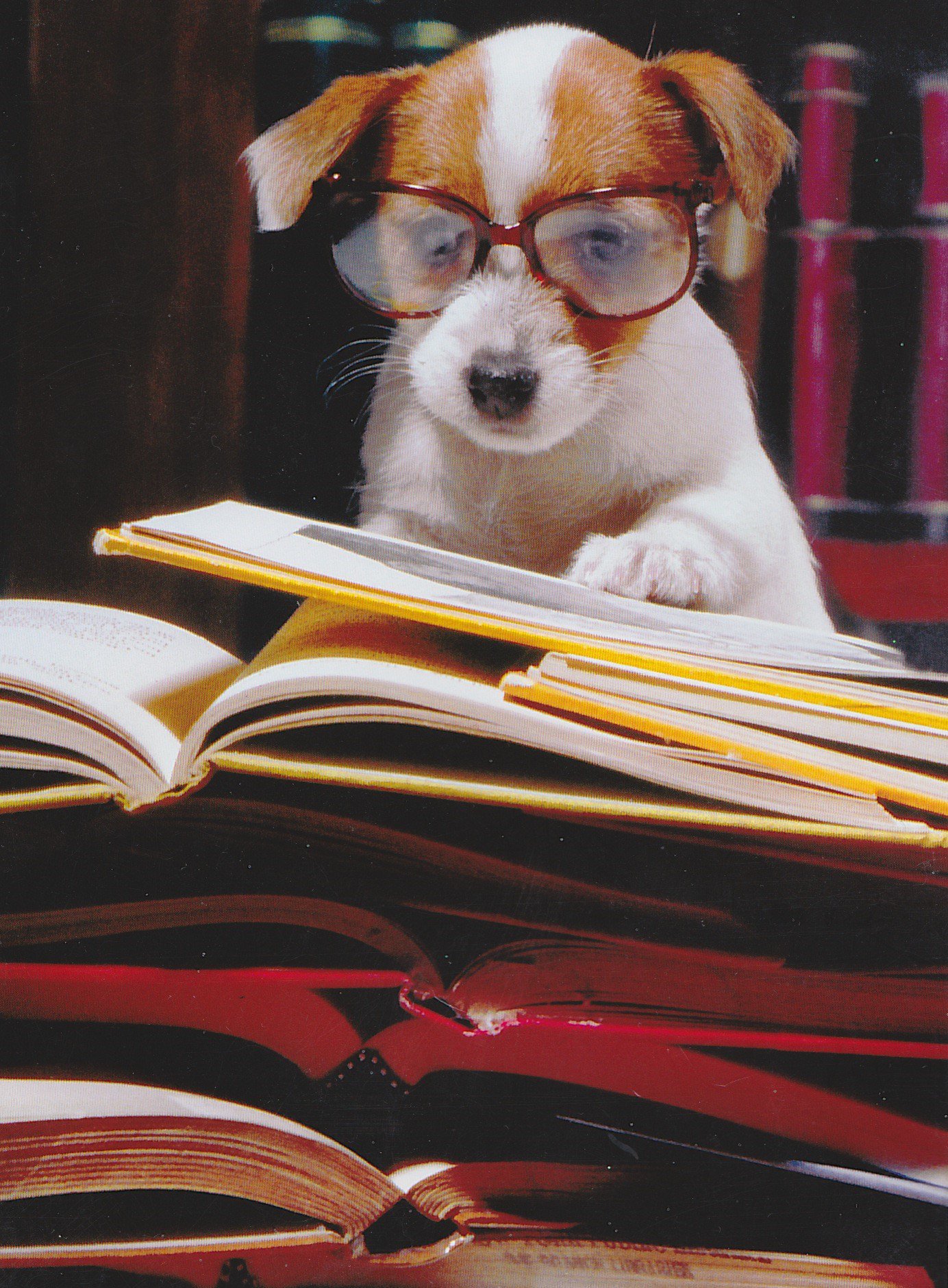 Hmm.... it says here that Ann Coulter really really really rocks!            HAPPY BIRTHDAY 