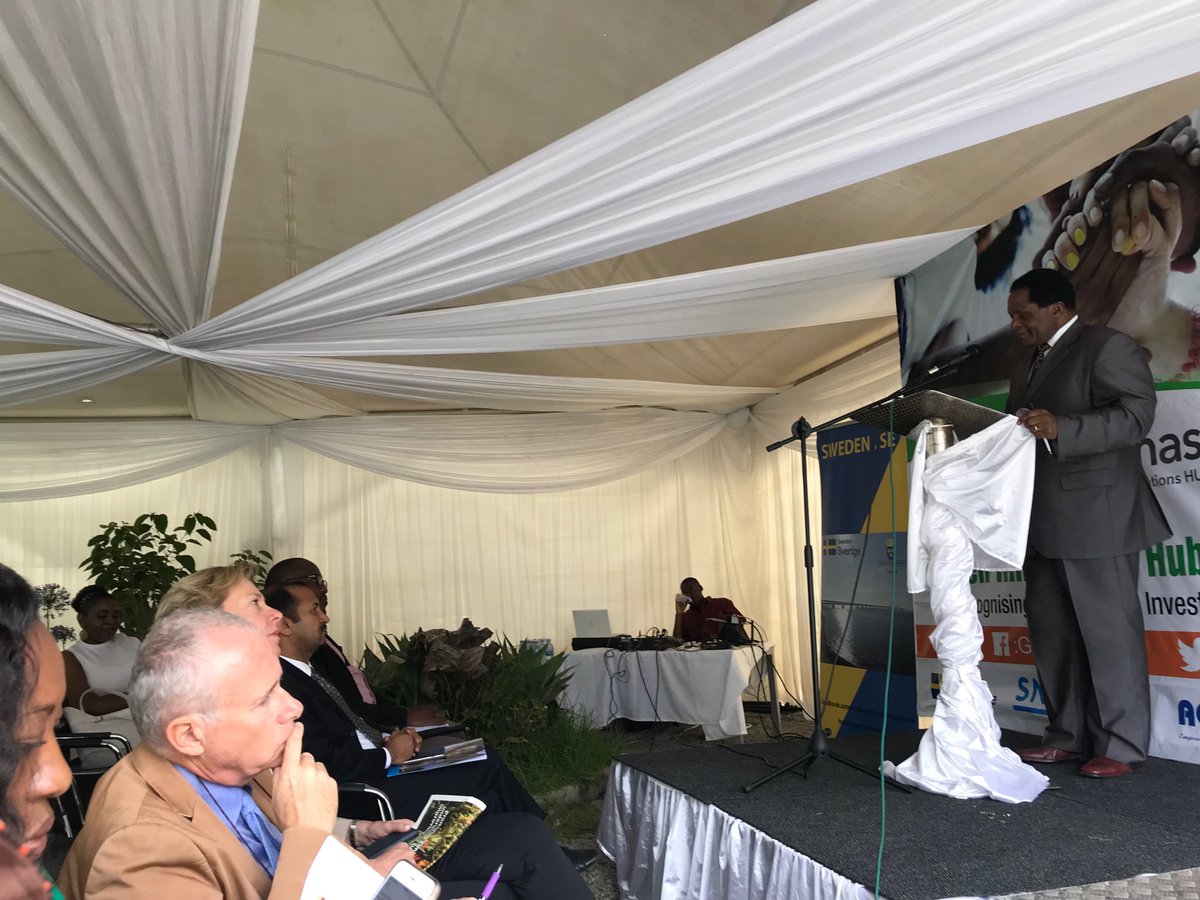 Permanent Sec of Zimbabwe Min of Women and Youth Affairs recognises pivotal role of young men and women and children in shaping a green economy