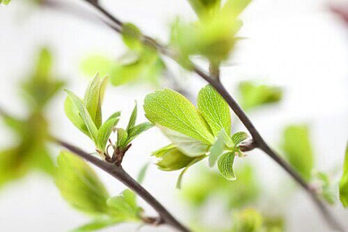 ﷽
﴿إِنَّ اللَّهَ وَمَلَائِكَتَهُ يُصَلُّونَ عَلَى النَّبِيِّ يَا أَيُّهَا الَّذِينَ آَمَنُوا صَلُّوا عَلَيْهِ وَسَلِّمُوا تَسْلِيمًا﴾
.
اللهم صل وسلم على نبينا محمدﷺ.                                          #يوم_الجمعه