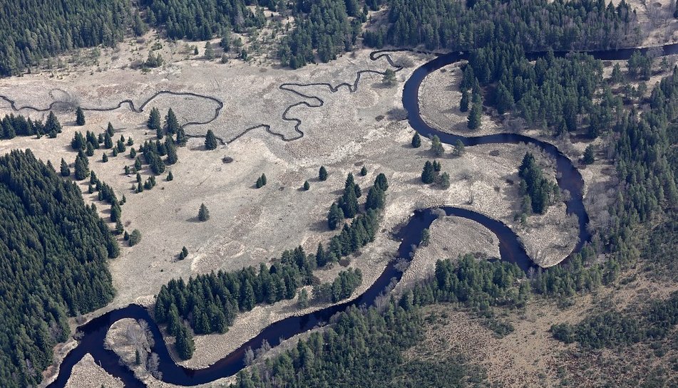 Robert Macfarlane on Twitter "Word of the day “scamander” of a