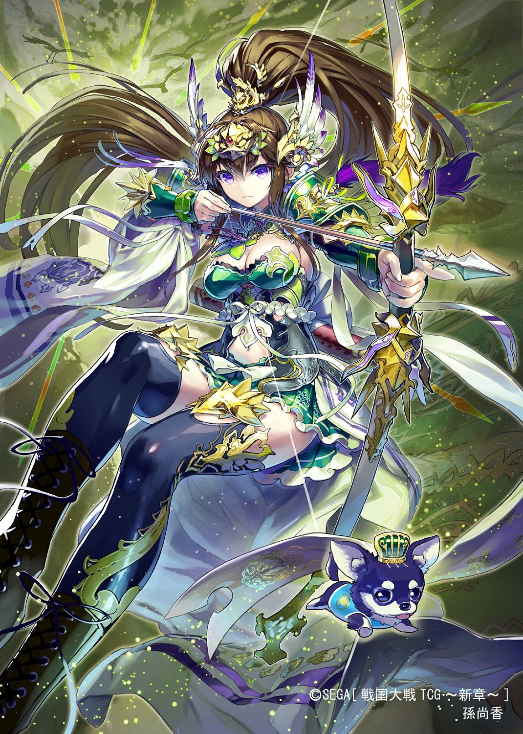 Amazon.co.jp: 三国志大戦TCG 孫尚香 7-033 SR : おもちゃ