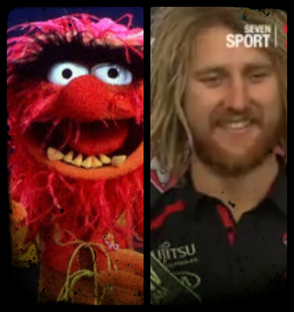 FlyUp88's tweet image. By the looks of things skips gunna be a contested ANIMAL next year @DysonHeppell @EssendonFC #RipIn #DonTheSash