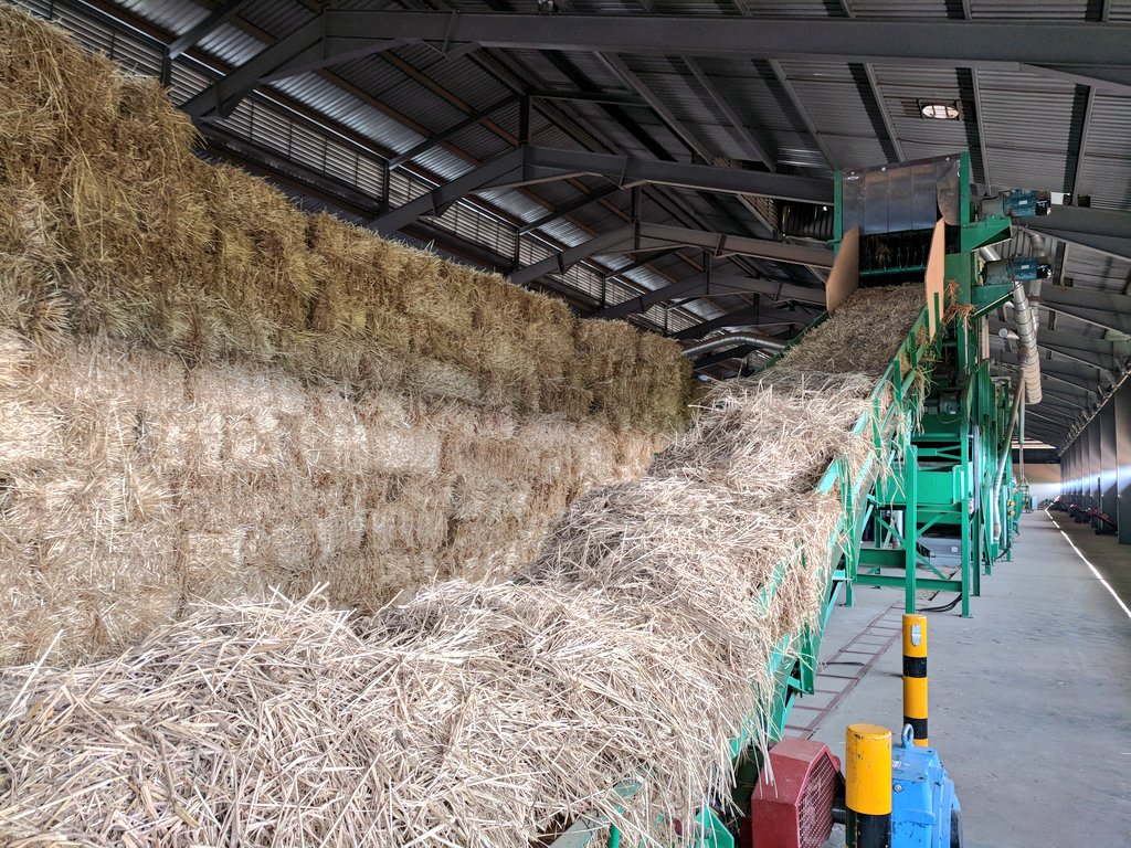 EnvironmentRw's tweet photo. Follow the process of #MadeInRwanda zero carbon construction material:
1. Raw straw is bought from farmers
2. The straw is heated to 150°C & compressed (natural resins bind the it together)
3. A fire proof cover is applied & the board is cooled
4. The zero carbon board is ready! https://t.co/ij2LPmm7XX