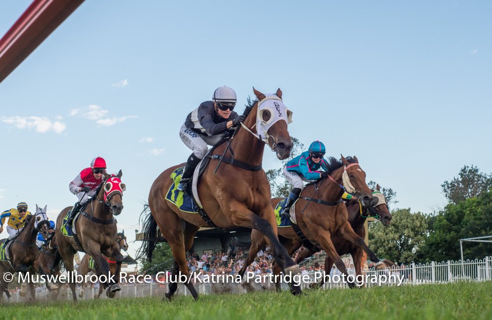 Muswellbrook Race Club tweet media