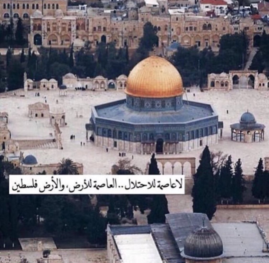 azoz_alesayi's tweet photo. #Palestine #QudsCapitalOfPalestine #QudsIsRedLineForMuslim https://t.co/xKQRFV2Qsf
