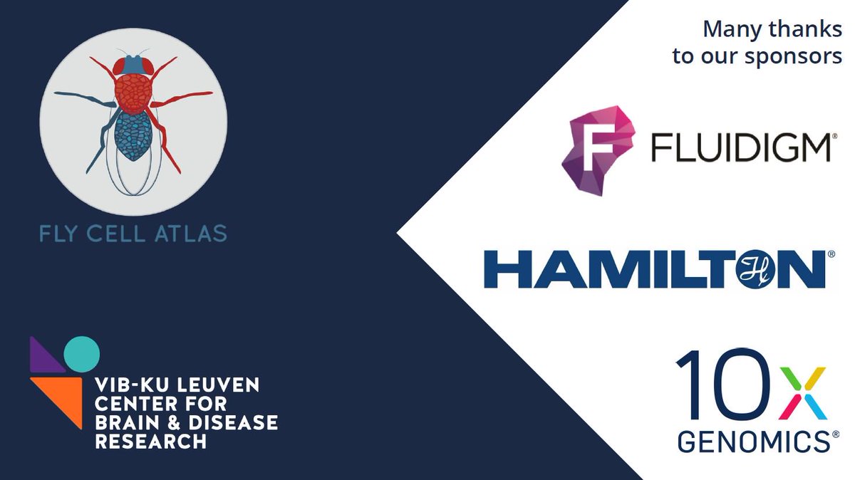 Fly Cell Atlas (@flycellatlas) on Twitter photo Big shout out to our sponsors @fluidigm <a href="/HamiltonCompany/">Hamilton Company</a> @10xgenomics and to <a href="/CBD_VIB/">VIB-KU Leuven Center for Brain & Disease Research</a> for their support for the first #FlyCellAtlas meeting in #Leuven Big shout out to our sponsors @fluidigm <a href="/HamiltonCompany/">Hamilton Company</a> @10xgenomics and to <a href="/CBD_VIB/">VIB-KU Leuven Center for Brain & Disease Research</a> for their support for the first #FlyCellAtlas meeting in #Leuven
