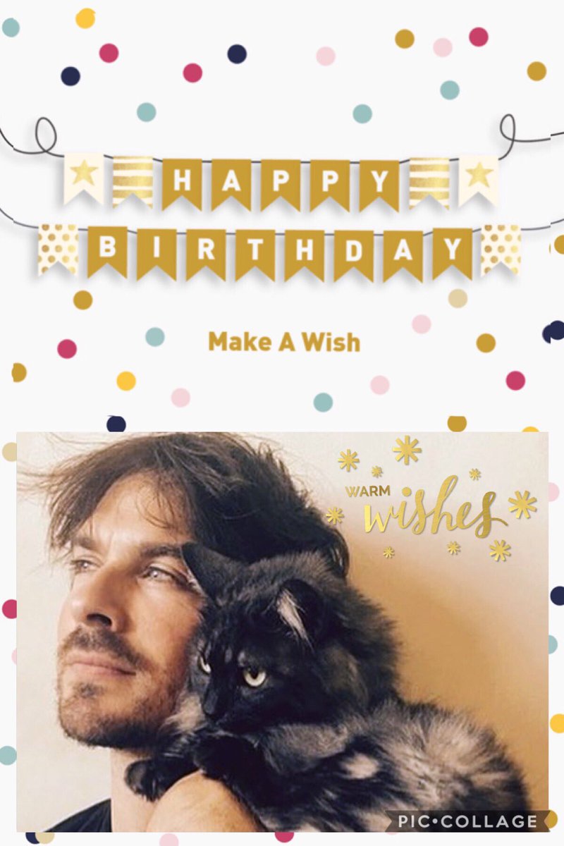 Noisette84's tweet photo. Happy Birthday to this beautiful soul 🎉🎊😘😻🎂@iansomerhalder Have a great day!🤗 https://t.co/VLb8XFOM8d