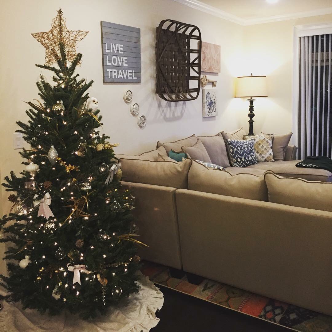 Carousel Village tweet media