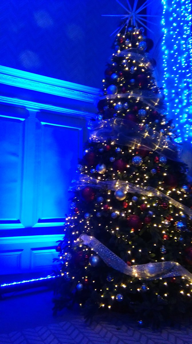 Wray_to_go's tweet image. #grandcentralxmas Fairytale in Glasgow.