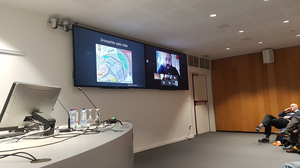 We're bringing together researchers from all across the globe, if not physically, at least digitally. Speaking now is Nikos Konstantinides from the Desplan lab at NYU