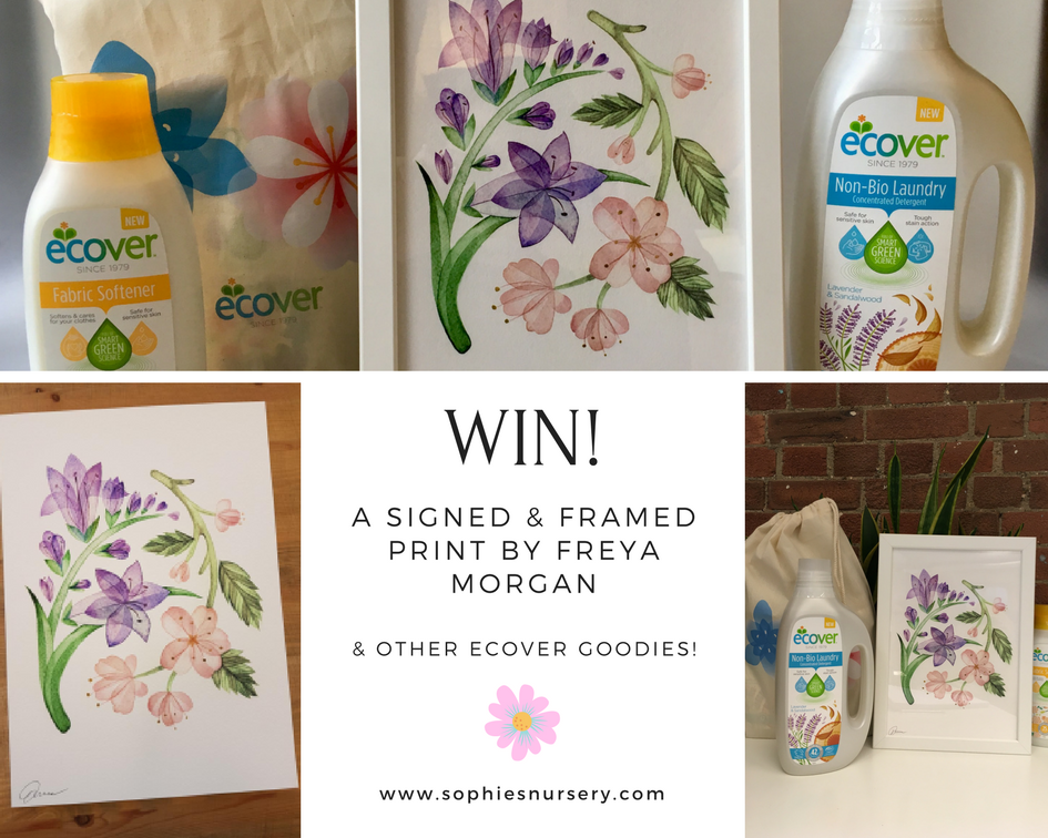 sophiesnursery's tweet photo. #WIN !!! A gorgeous signed &amp; framed print copy of this illustration by Freya Morgan &amp; other @EcoverUK goodies!

ENTER HERE: https://t.co/Lol9iFZooc

#competition #giveaway #contest #winner https://t.co/O3EhJqpIZ7