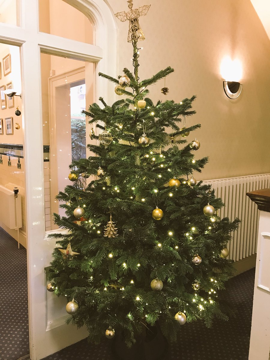 InigoBCLeeds's tweet photo. Here’s the newest member of the Inigo Christmas tree family!🎄#Leeds #business #christmas https://t.co/Yd6Wa35ZK8