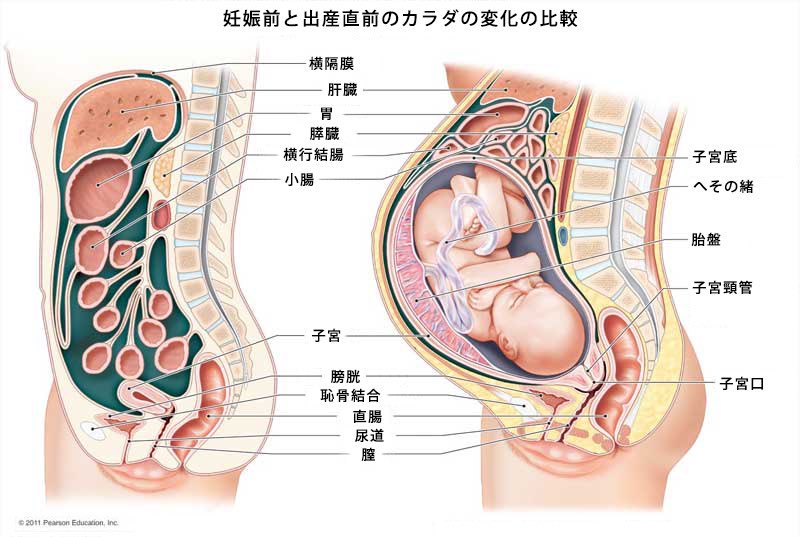 臨月 胃 が 痛い