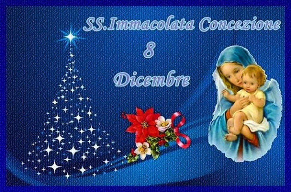 fi_giovani's tweet photo. #FestaImmacolata all'insegna della #Solidarieta a #Paola (CS). I nostri ragazzi impegnati nella #collettaalimentare per aiutare le #famigliemenofortunate. #NoiXLaSolidarieta! @AngieCalabria @forza_italia @FIgiovaniCal @JoleSantelli @robertoocchiuto https://t.co/adCQHT5aaR