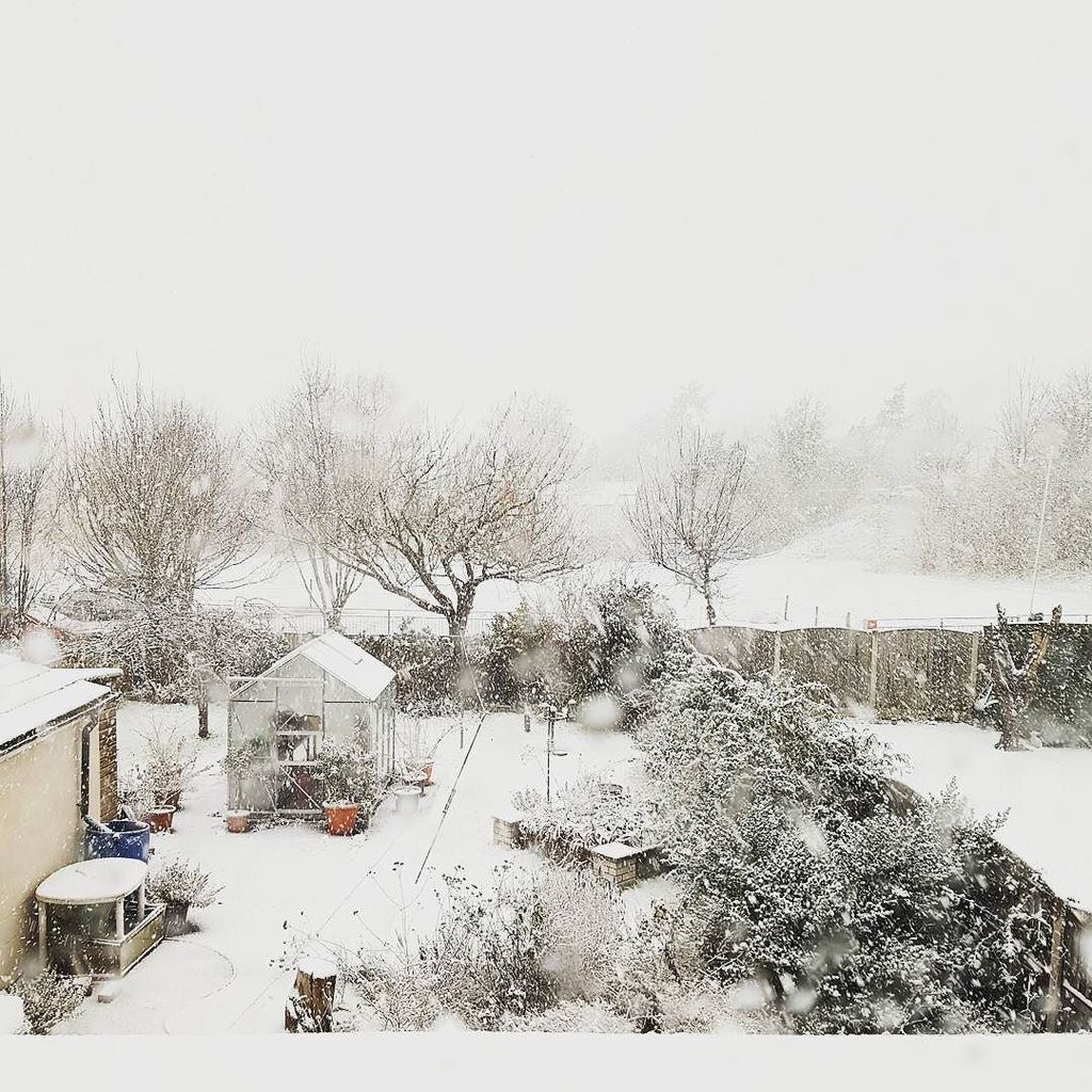 tracypwright's tweet photo. Blizzard! #snow #nicetolookat #winter https://t.co/0zQV7F8sJj https://t.co/HJKu0ZlMbj
