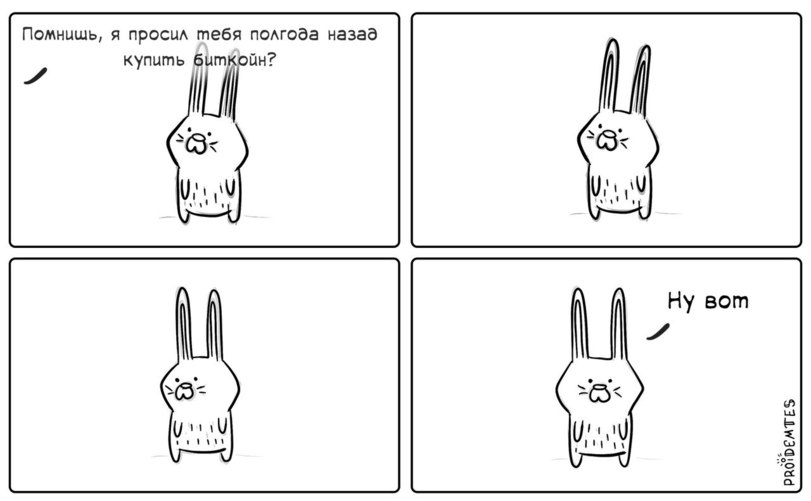 Заяц ну вот комикс. Зайцы комикс. Зайчик ну вот. Зайцы комикс. Кролик ну вот комиксы.