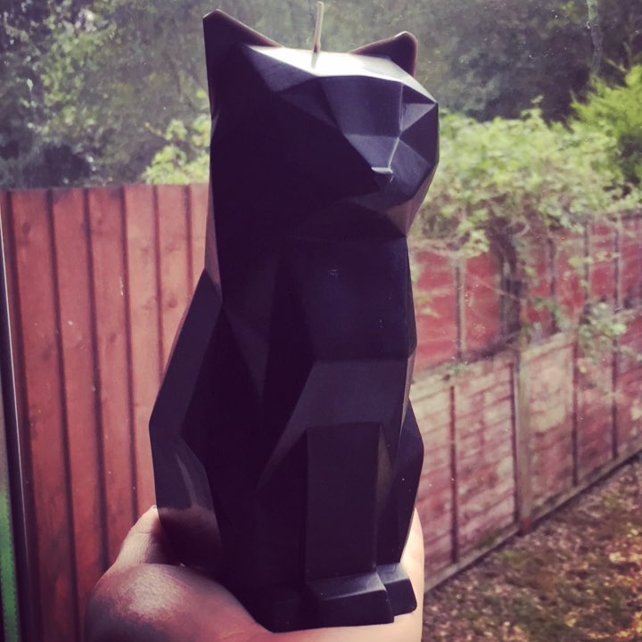 PyroPetCandles's tweet image. Behold our Kisa #Pyropet! 🐈🖤
📸 Claws4Paws PyropetCandles.com #candles #skeletoncandle #pets #cat