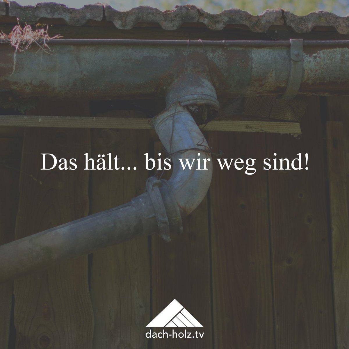 dach_holz_tv's tweet photo. Jetzt aber schnell weg! 🏃🏻💨 #dachholztv #werkstattspruch #handwerkerhumor https://t.co/r8ZVNfvtph