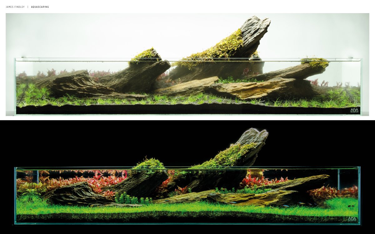 green machine aquarium