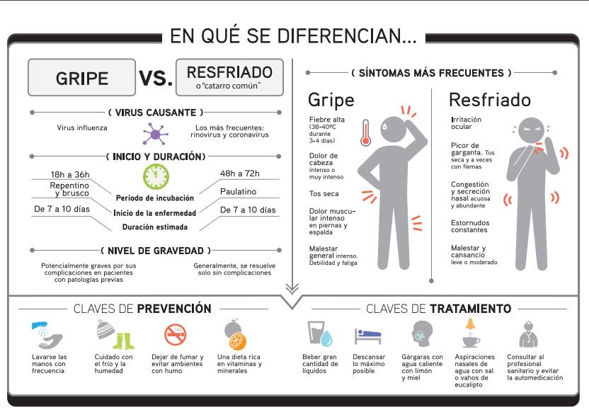 Cuantos gramos de alubias por persona