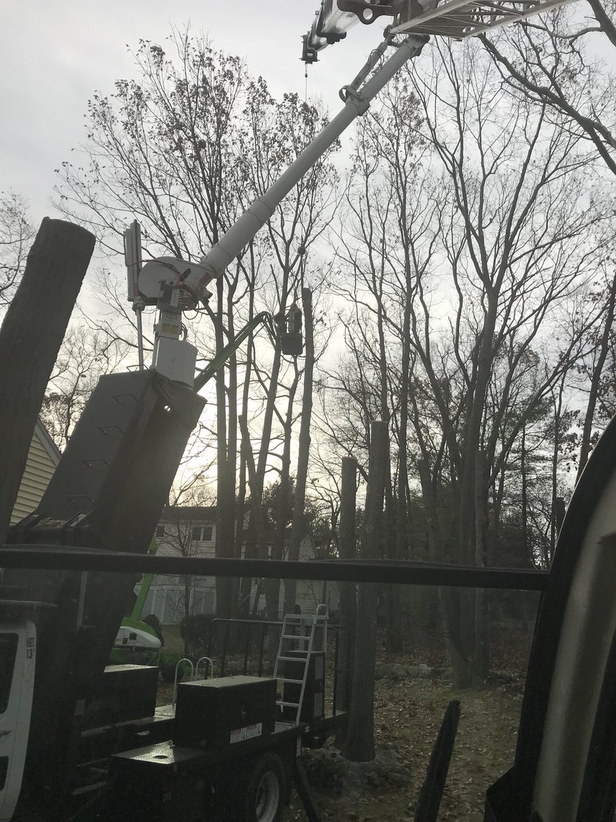 FerrisTreeSvc's tweet image. Working closely but safely together today to beat the snow!!