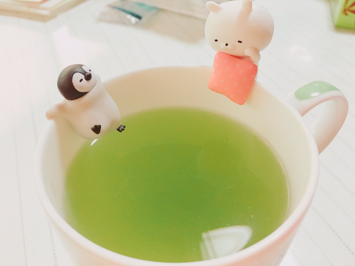 桜音のん Sakurane Non ぺんちゃんとうさまる 時には泣いてるうさまるを 励ますぺんちゃん またまた時には寝てるうさまるの ほっぺにちゅーするぺんちゃん 撮り方によって内容が変わるから 楽しい ねこぺん うさまる うさぺん