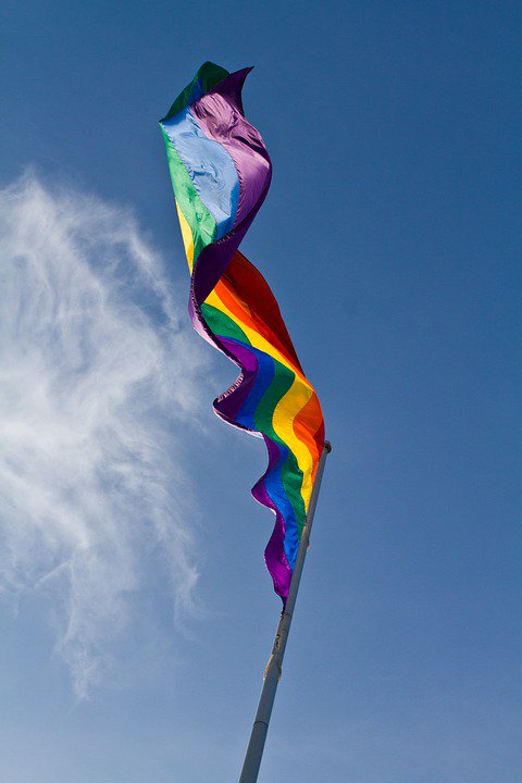 online_flag's tweet photo. Gay pride flags – What do the rainbow colors mean and where do they come from?
You can now order the gay pride flags in a variety of material. Give your events a splash of color and vibrancy with these flags that are now easily available online. learn more:https://t.co/ZbteiqPwJF https://t.co/6PPRBAmBIc
