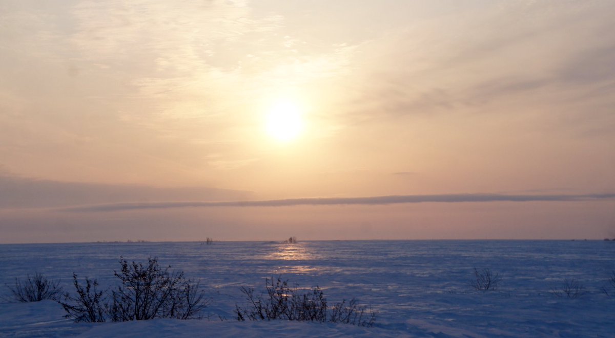 With heavy overnight frost forecast, pitch inspections will take place in the morning.  Any cancellations will be notified via this Twitter feed and at surbitonhc.com
<a href="/OldGeorgiansHoc/">Old Georgians Hockey Club</a> <a href="/OxtedHC/">Oxted HC</a> <a href="/Barnes_Hockey/">Barnes Hockey Club</a> <a href="/nplhockeyclub/">NPL Hockey Club</a> <a href="/HorshamHC/">Horsham Hockey Club</a> <a href="/StAlbansHC/">S.A.H.C.</a> <a href="/WanderersHC/">Battersea Wanderers</a>