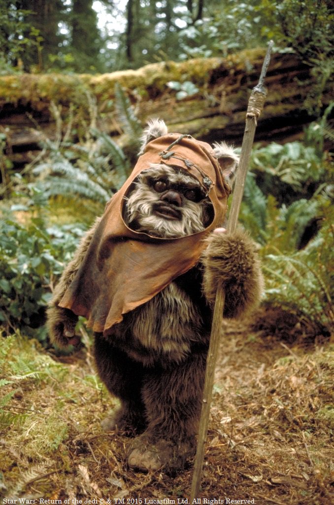 あなたはどのキャラが好き スターウォーズの登場人物ランキング もちの自由気ままライフ