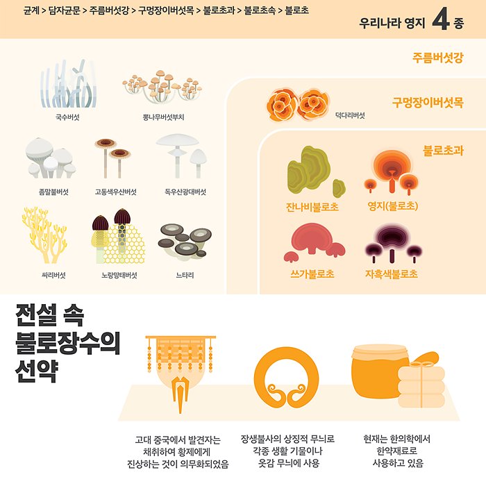 우리생물 101을 기억하시나요? :)
오늘부터 대국민의 PICK을 받은
우리 고유생물들을 소개해 드리려해요.
그 첫번째 주인공은 균류 1위를 차지한 영지!
지금부터 십장생의 하나, 불로초로 꼽히는 영지를 만나보세요.
#오늘의_고유생물_주인공은_영지야 #황제도_먹던_건강식품