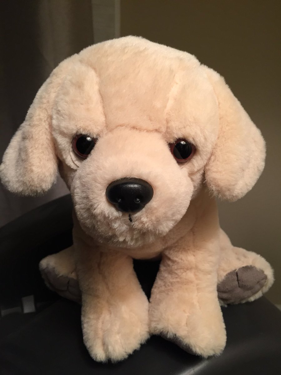 MikeyNoWay's tweet image. My daughter got this stuffed dog yesterday. She named him “Felix Navidog”. #FourthGrader  #MulticulturalHumor