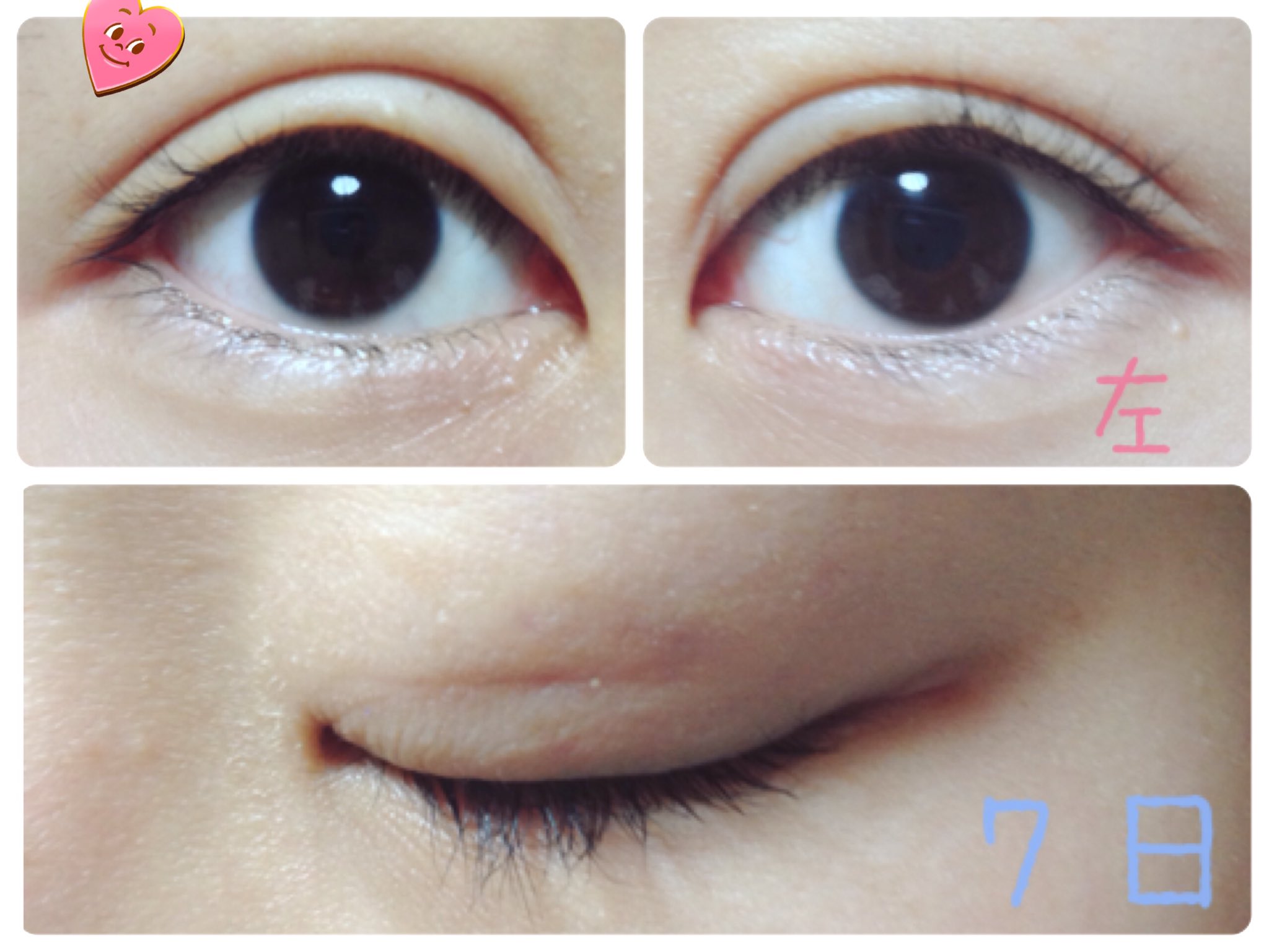 ゆでたまご Yukari Twitter